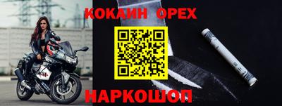 шишки Абакан