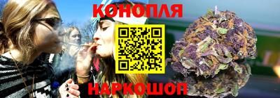 шишки Абакан