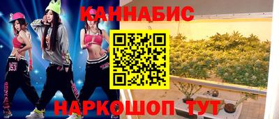 шишки Абакан
