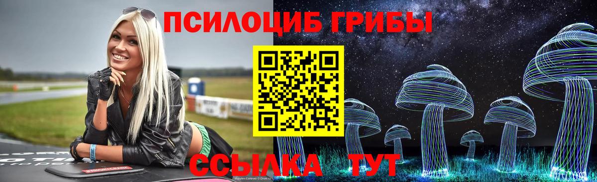 Псилоцибиновые грибы GOLDEN TEACHER Альметьевск
